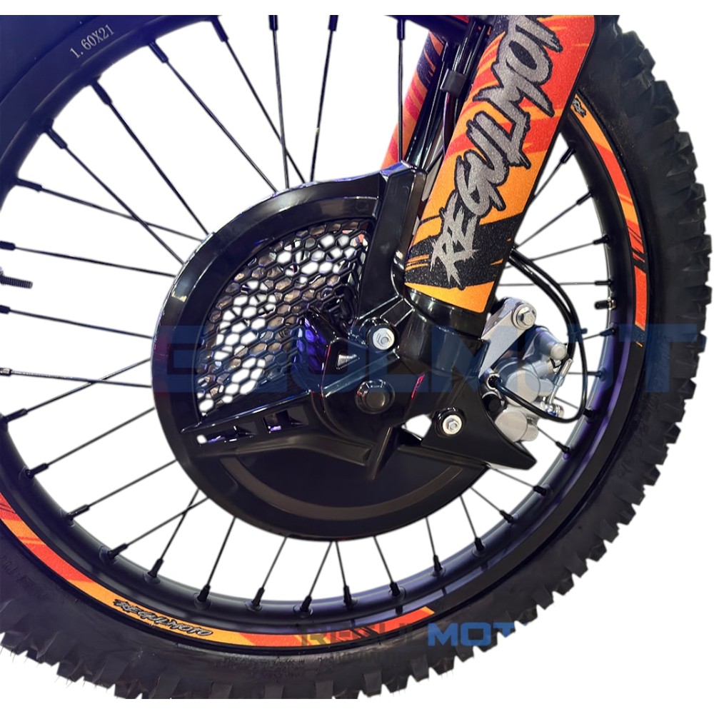 Мотоцикл Regulmoto ATHLETE PR300 NEW 21/18 с ПТС