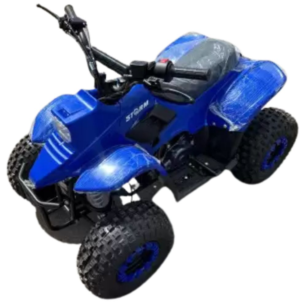 Квадроцикл детский Storm Robo 110 одна передача