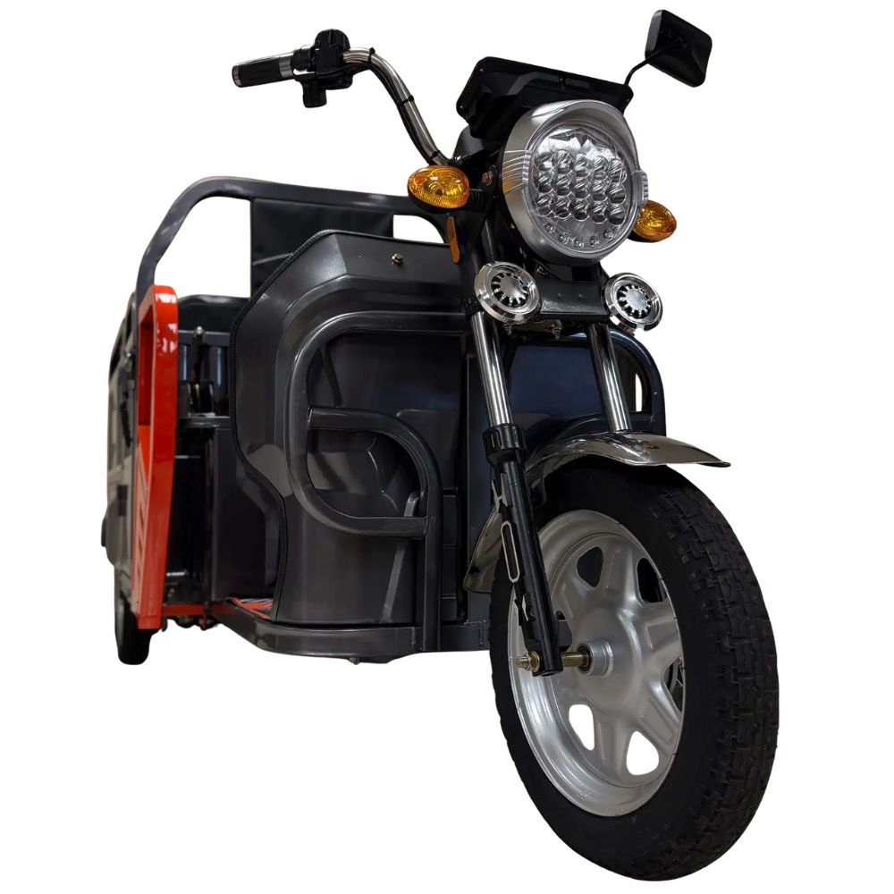 Электротрицикл BNP Zevs ULTRA COMBI