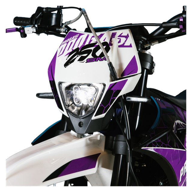 Мотоцикл PROGASI SUPER MAX 250SM 17/17 с ПТС