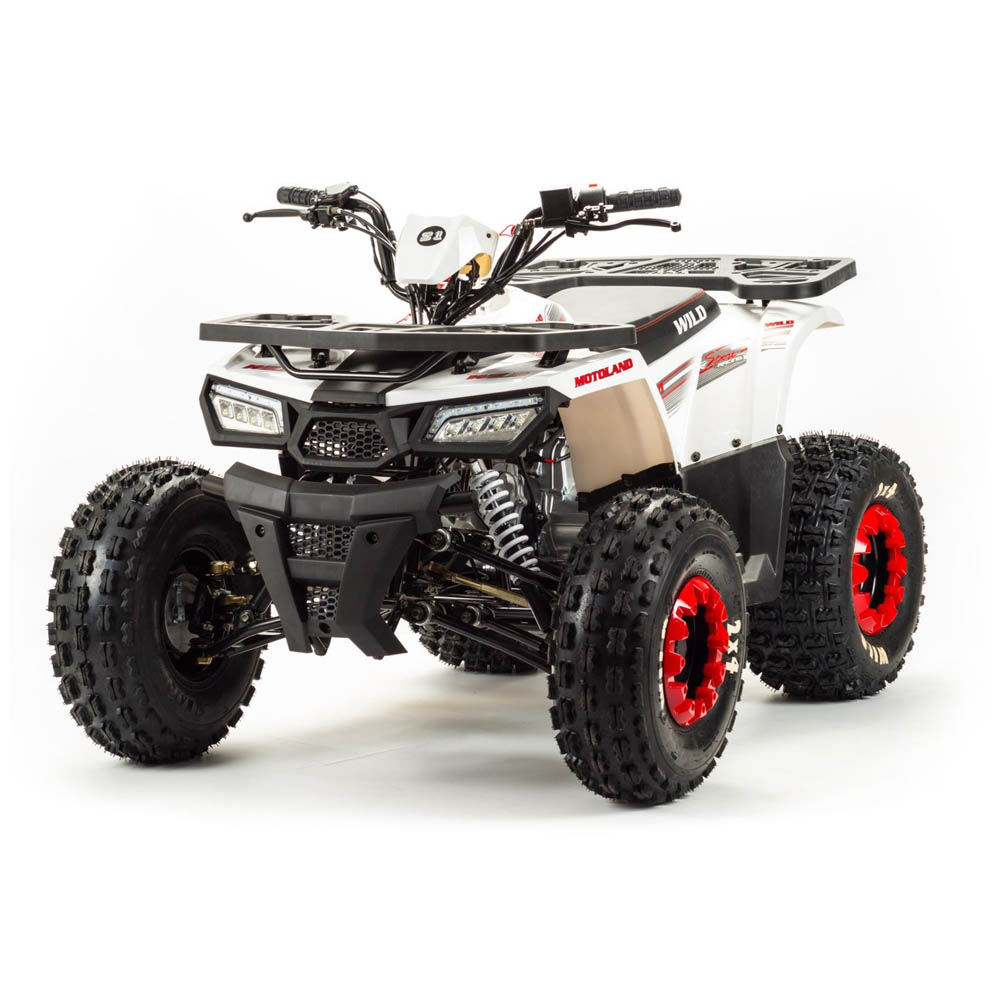Квадроцикл MOTOLAND WILD Basic 125cc (мотокомплект)