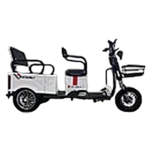 Электрический трицикл SHTENLI Model А034 (2в1) SLA 20Ач60В