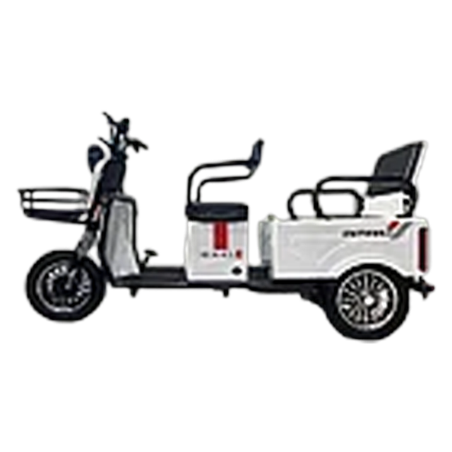 Электрический трицикл SHTENLI Model А034 (2в1) SLA 20Ач60В