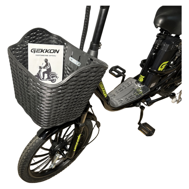 Gekkon V6 Pro 15,6 Ah