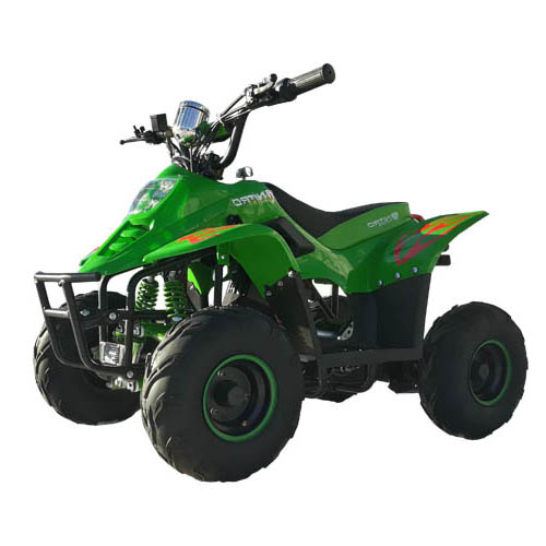 Электрический квадроцикл QMC ECO Bigfoot RG6 800W