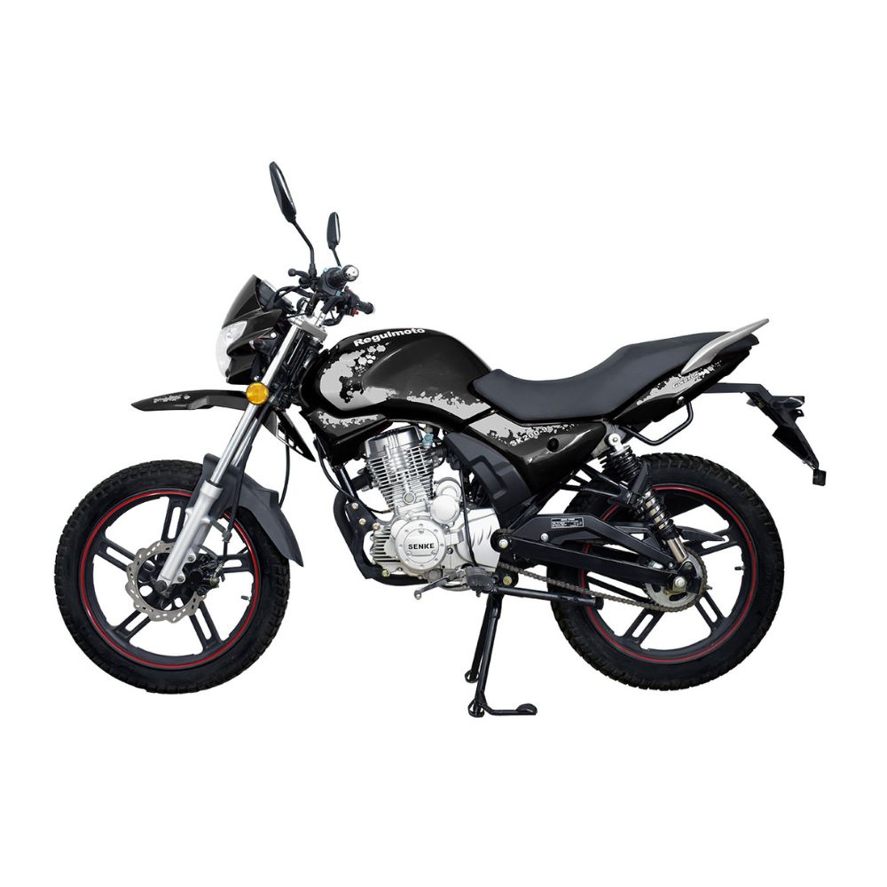 Мотоцикл Regulmoto SK200-9 ЭПТС