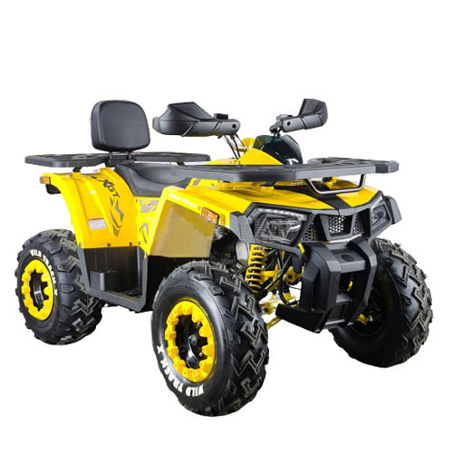 Квадроцикл Motoland WILD TRACK X 200 (машинокомплект)