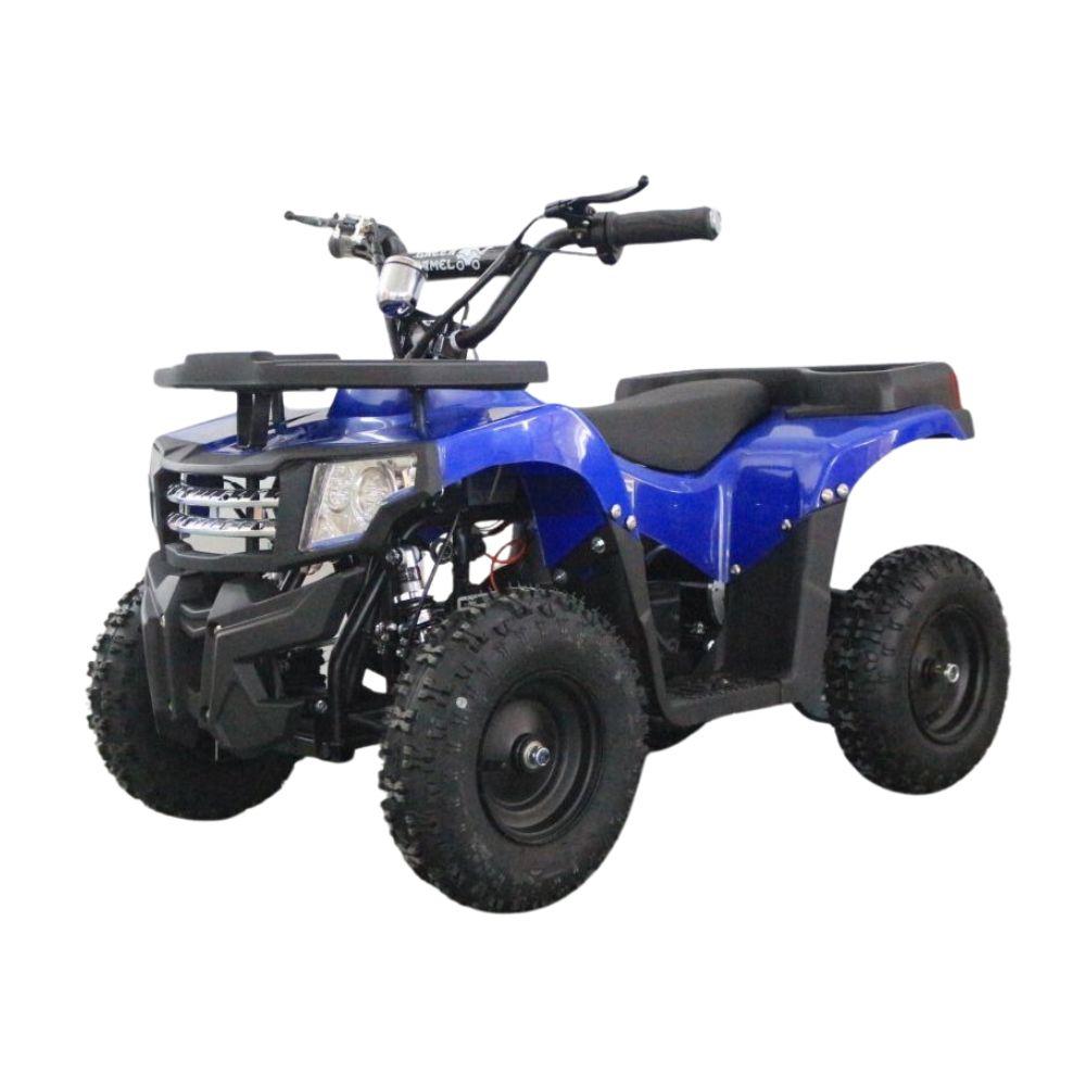 Квадроцикл GreenCamel Гоби K24 (36V 800W R6 Цепь)