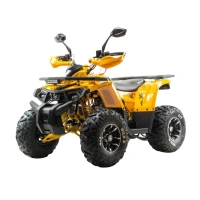 motoland-atv-wild-x-pro-125