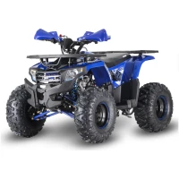 qmc-quad-maverick-125cc