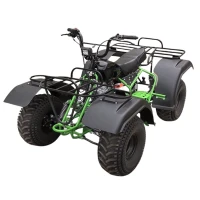 Квадроцикл ИЖ (ATV) МЕХАНИК-2 250 (мотокомплект)