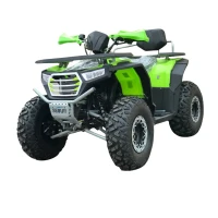 Квадроцикл внедорожный QMC Sebur 200cc (ЭПТС)