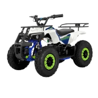 Электрический квадроцикл QMC ECO Marsik 36V 1000W