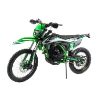 Мотоцикл Кросс Moto Apollo M4 300 (175FMM PR5)