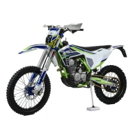 Мотоцикл Кросс Moto Apollo M5 300 (175FMM PR5)