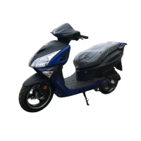 hors-skuter-058-new-49-6-sm3