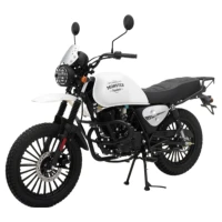 regulmoto-motocikl-monster-200