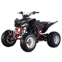 mikilon-atv-y65-pentora-250cc