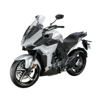 Мотоцикл ZONTES ZT350-X1 17/17 (2023 г.) 