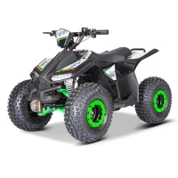 Квадроцикл электрический QMC E7 1200W 48V