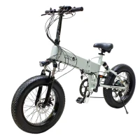 Электровелосипед GreenCamel Форвард 2X