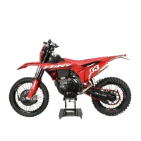 Кроссовый мотоцикл Sanchez Fury CB300RL