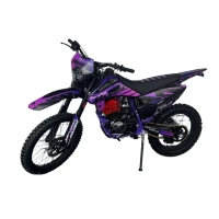 Мотоцикл эндуро Sanchez Maniac PR300 (ZS175FMM-5A) 21/18