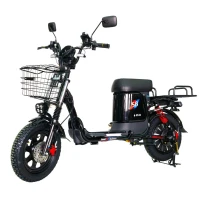 sb-elektrovelosiped-master-pro-21ah