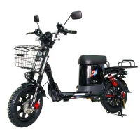 Электровелосипед SB Master PRO 1200W 30Ah