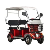 Электротрицикл Gelbert Hara 48V/60V 600Вт 