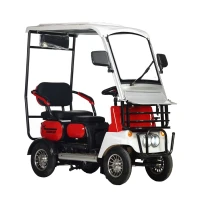 Электротрицикл Gelbert Lich 48V/60V 600Вт 