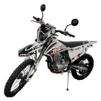 Мотоцикл эндуро JHL ELX300 (4T 175FMM) ПТС 21/18 (2024 г.) 