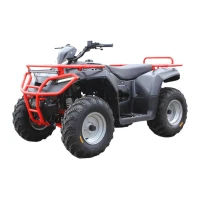 irbis-atv-250cc