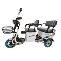 Электрический трицикл Shtenli Model XL SLA 20Ач60В 