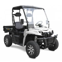 Багги Linhai UTV E-5S Electric 2x4