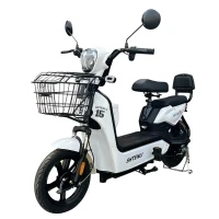 Электроскутер Shtenli Model 15 Maxi Range 