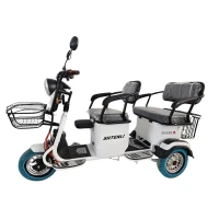 Электрический трицикл SHTENLI Model XL (40) SLA быстросъем (аккумулятор 5шт 20Ач12В)