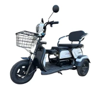 Трехколесный электроскутер Shtenli Model 30 SLA (аккумулятор 4шт 12Ач12В) 