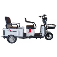 Электроскутер трехколесный Shtenli Model 34 2в1 60V 20Ah