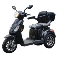 volten-trike-1000w