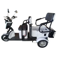 Электрический трицикл Shtenli Model 37 60V