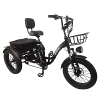 Электровелосипед трехколесный Shtenli Trike xMax 48V15,6A