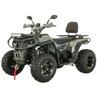 Квадроцикл бензиновый YACOTA VIKING LONG 250 PRO (мотокомплект)