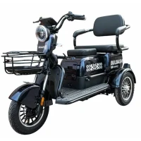 Электротрицикл Smart8 Bulbash S
