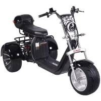 Электротрицикл AVM CityCoco Axel 2000