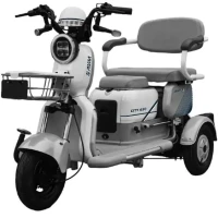 Электротрицикл AVM City 650