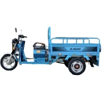 Электротрицикл грузовой AVM Cargo 1500