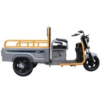 Электротрицикл грузовой AVM Cargo mini 800