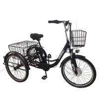 Электровелосипед трехколесный Shtenli Trike 31 48V 15.6Ah