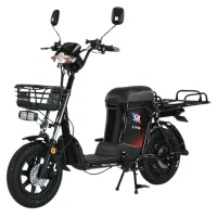 Электровелосипед SB Master Pro 50 Ah 2025